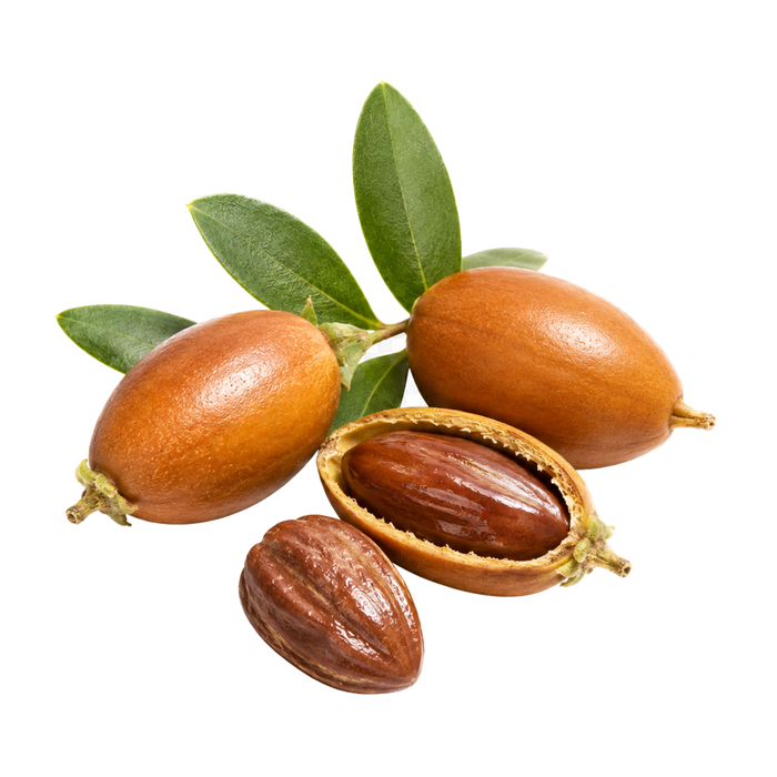 Botanical Hair Elixir Daily ingredient 1