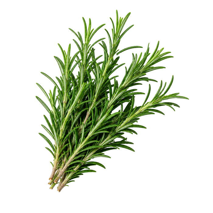 Botanical Hair Elixir Daily secondary ingredient 1